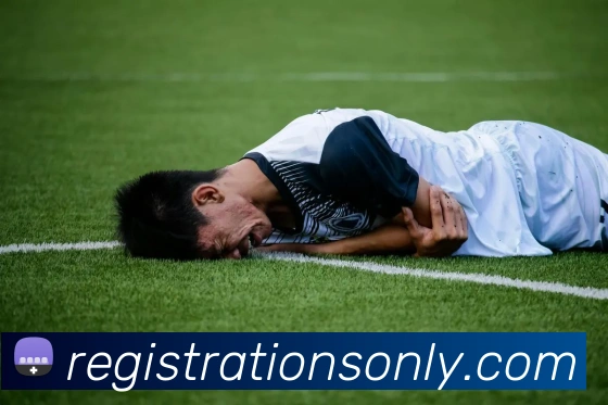互动解说服务